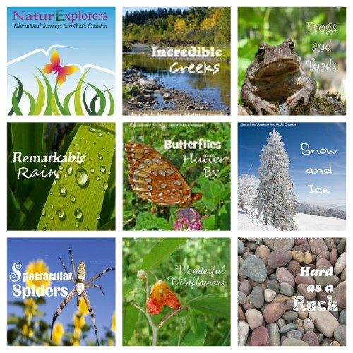 NaturExplorers are a great option for no-hassle nature study lessons.