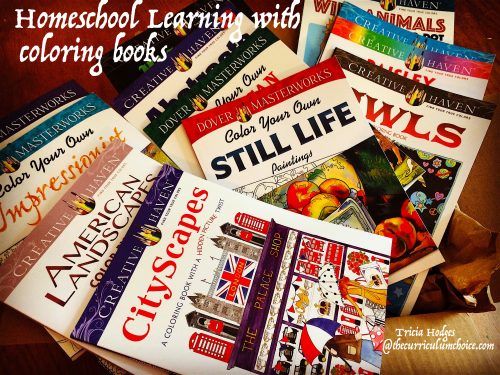 Homeschool Learning with Coloring Books from Dover Publications