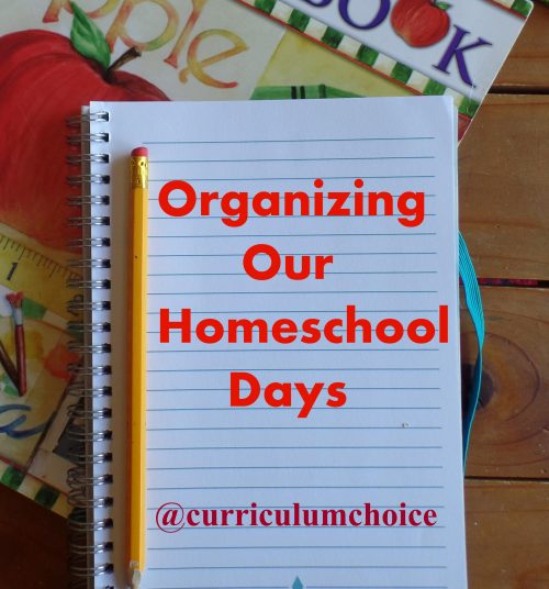 The favorite ways we organize our homeschool days from the authors at The Curriculum Choice - a variety of resources and encouragement for you!