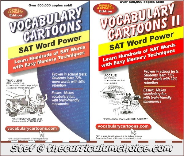 vocabulary cartoons review