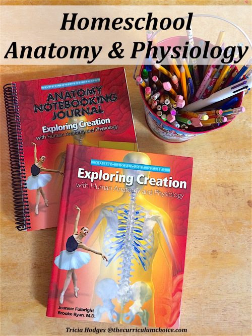 Homeschool Anatomy and Physiology Review