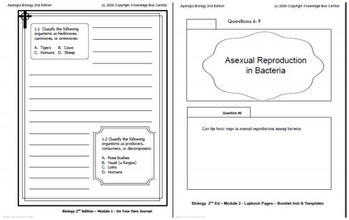 Apologia Exploring Creation with Biology High School Science