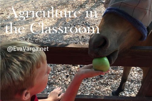 classroomagriculture