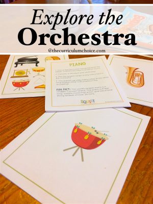 Do your children know the names of the instruments of the orchestra? What about the families of musical instruments? Time to explore the orchestra!