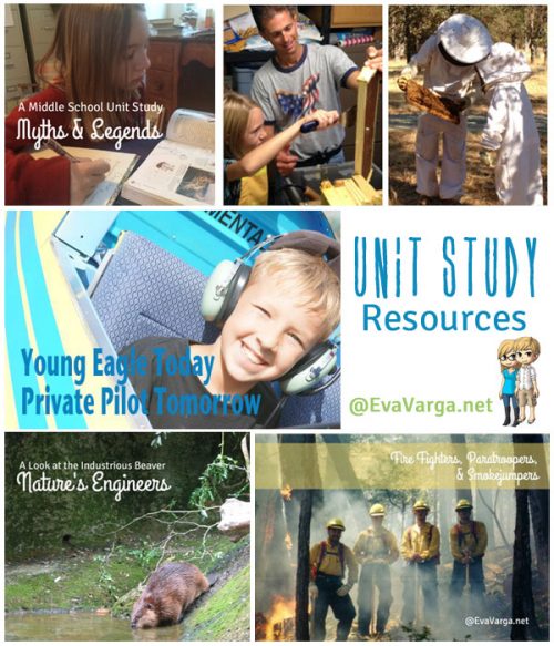 Unit Studies at Eve Varga