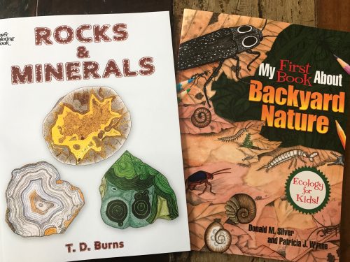 Dover helps you have a homeschool that ROCKS - books to make learning about rocks and minerals fun!