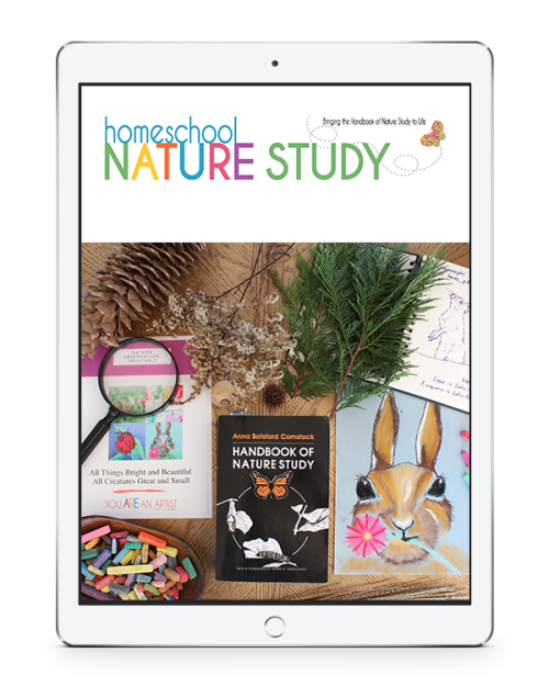 Homeschool Nature Study Site