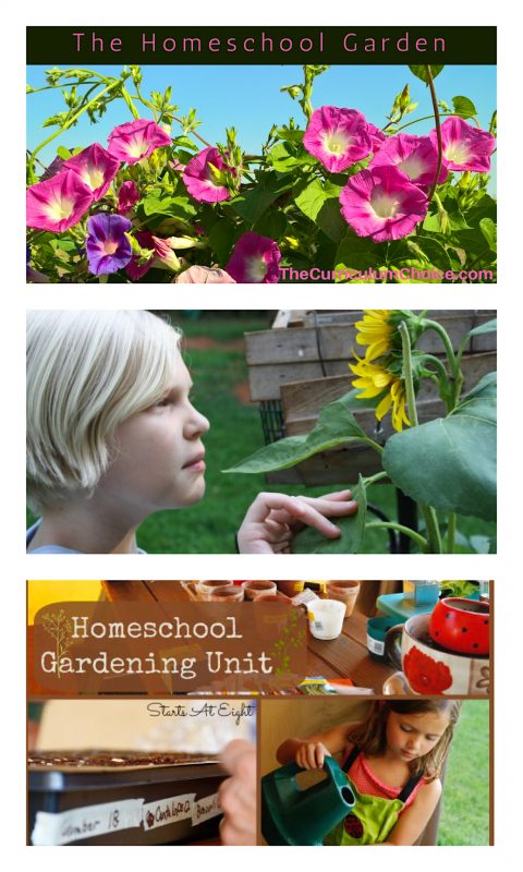 To help you homeschool outside this spring and summer, veteran Curriculum Choice homeschoolers have collected their suggestions about gardening, nature, nutritious eating, and more with the homeschool garden.
