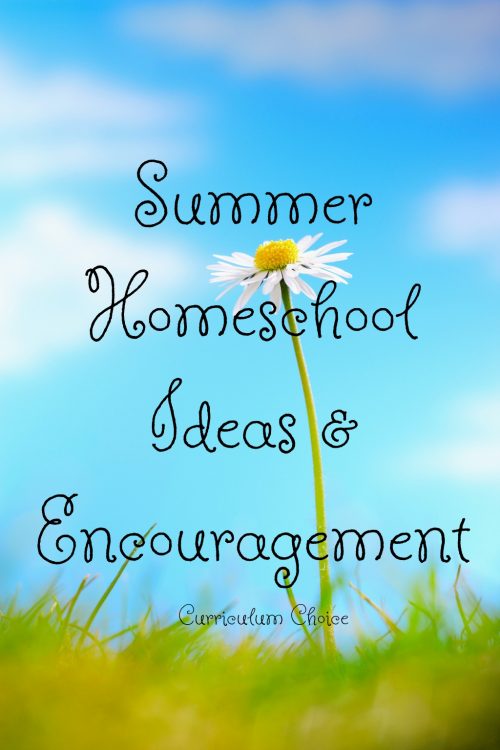 Whether or not your family homeschools year-round, the summer time homeschool routine is apt to take on a different flair. Need some summer homeschool ideas and encouragement? We have a big list for you!