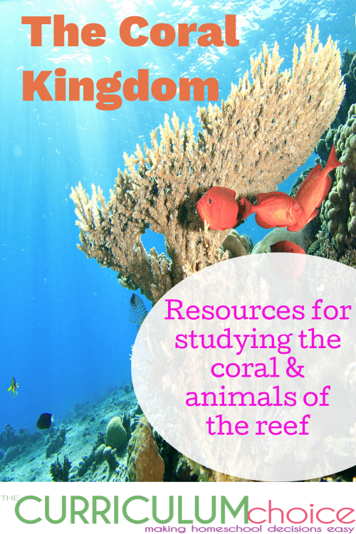 The Coral Kingdom book and other resources for studying the reef & animals within the reef. Books, printables videos and more!