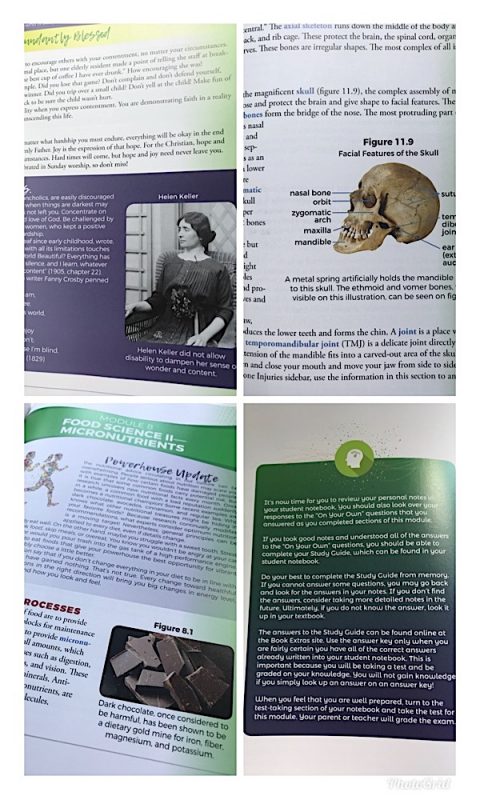 Homeschool High School Health and Nutrition - I was very impressed with the table of contents and all that is included in this subject. This health and nutrition text addresses the 'whole person' with the spiritual aspect and with very practical suggestions for proper care.