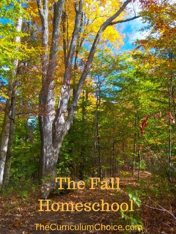 Enjoy the last weeks of summer while you put a few wise finishing touches on your plans for fall. Here’s some inspiration for the fall homeschool from the veteran homeschoolers who write for The Curriculum Choice.