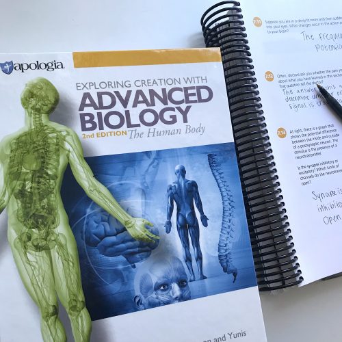 My high schooler thrives on independent study. She is a “give me the book and the notebooking journal and let me go” learner. Apologia Homeschool High School Advanced Biology meets her needs in that way with challenging subjects and the tools for her learning style.