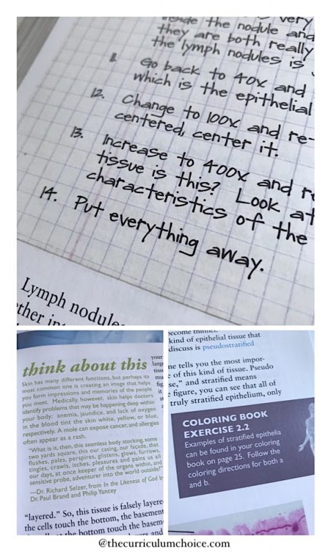 My high schooler thrives on independent study. She is a “give me the book and the notebooking journal and let me go” learner. Apologia Homeschool High School Advanced Biology meets her needs in that way with challenging subjects and the tools for her learning style.