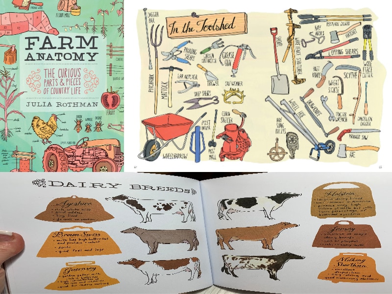 Farm Food and Nature Anatomy: Books to Explore our Natural World are 3 beautifully illustrated, wholly educational, and fun. They are a great addition to any nature study and a must have on any homeschool bookshelf!