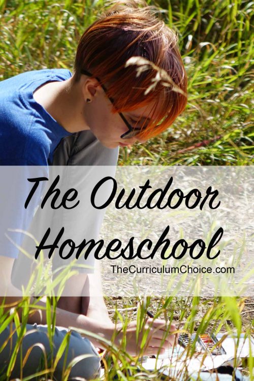 Image of a teen seated in a meadow sketching with text overlay The Outdoor Homeschool