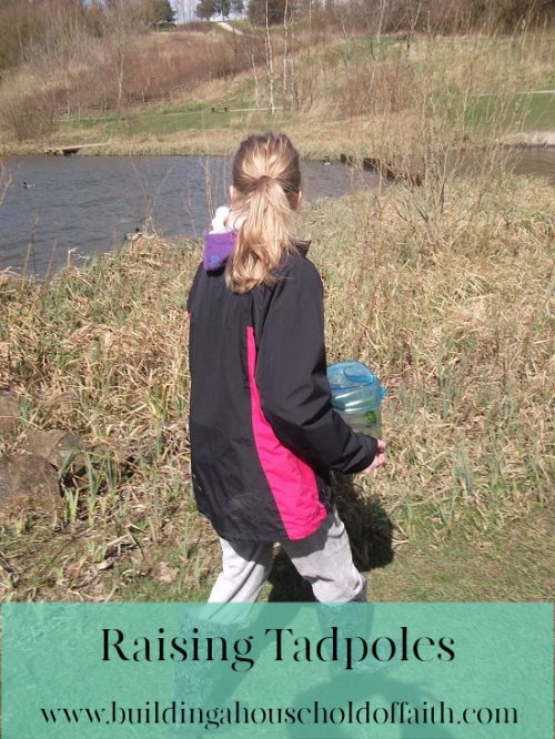 The Outdoor Homeschool: Take Your Homeschool OUTSIDE - The