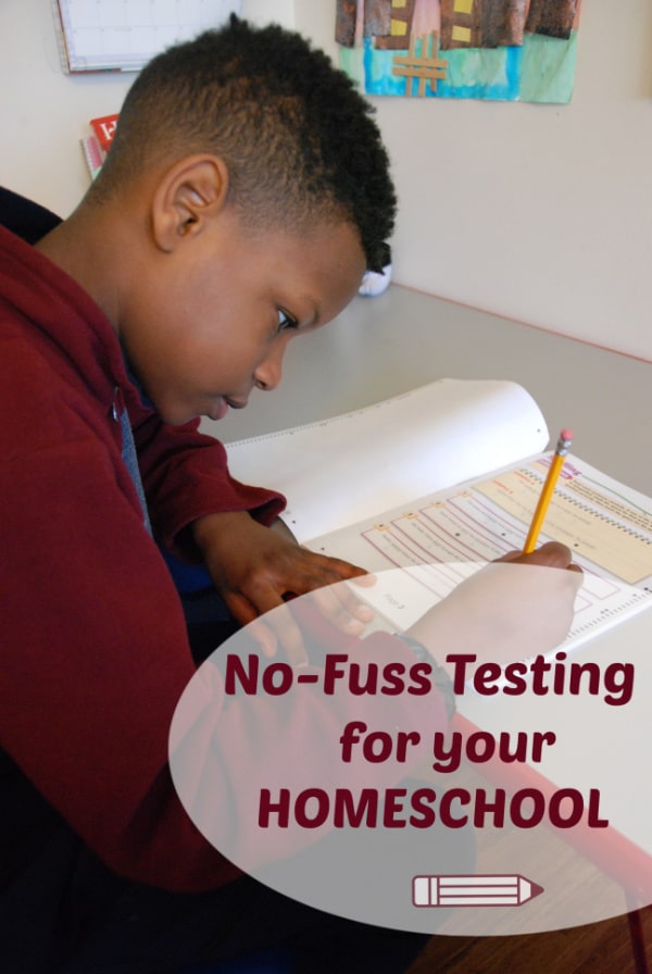 If you need or desire to offer your children end of year testing — I suggest checking out the ease and flexibility of Homeschool Testing! It is no-fuss standardized testing for your homeschool.