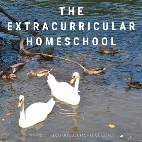 Here at The Curriculum Choice we usually talk about homeschool curriculum, but a huge part of homeschooling involves extracurricular activities. The Curriculum Choice moms have put together the extracurricular homeschool.