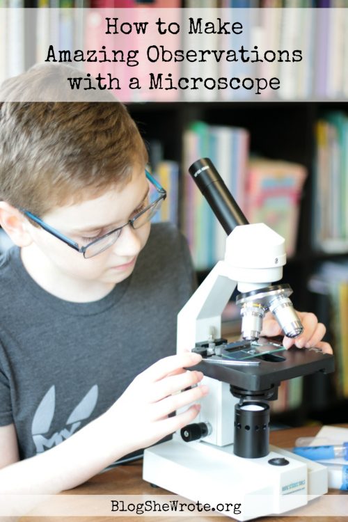 boy at a microscope