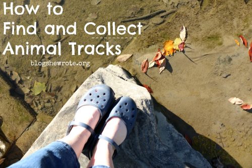 feet on a rock on the edge of a creek