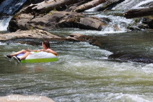 Half Way Point of Summer! Enjoy these August homeschool celebrations with your loved ones and make memories this month!