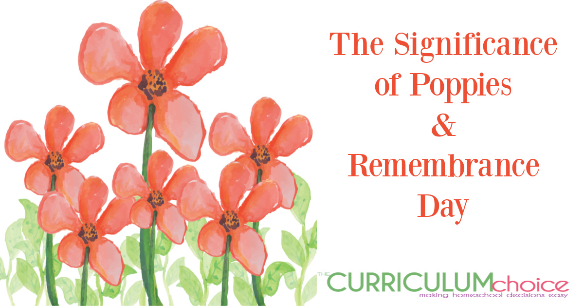 The Significance of Poppies and Remembrance Day