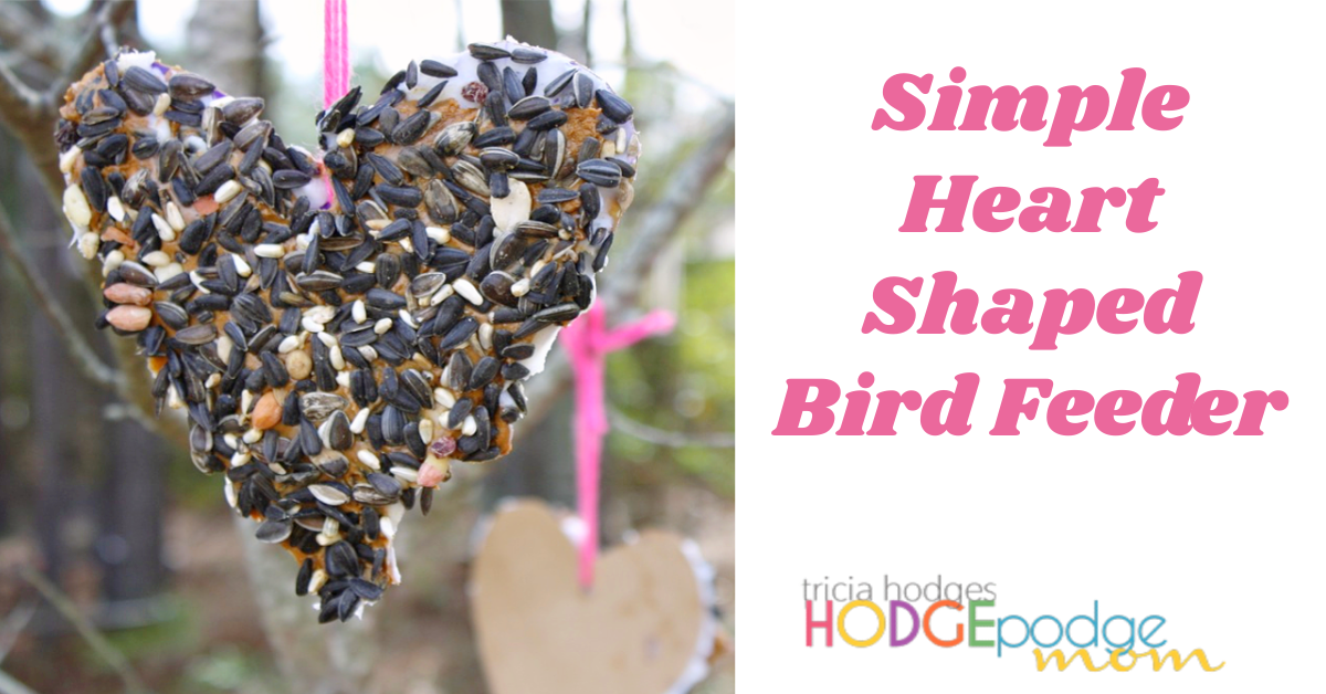Simple Heart Shaped Bird Feeder